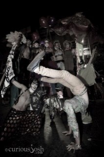 Nocturnal Wonderland
Group Style Nocturnal Wonderland
Group Style